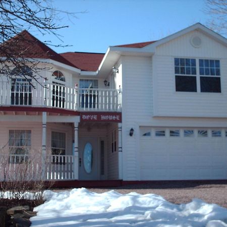 Dove House Bed & Breakfast Harbourside North Sydney Luaran gambar