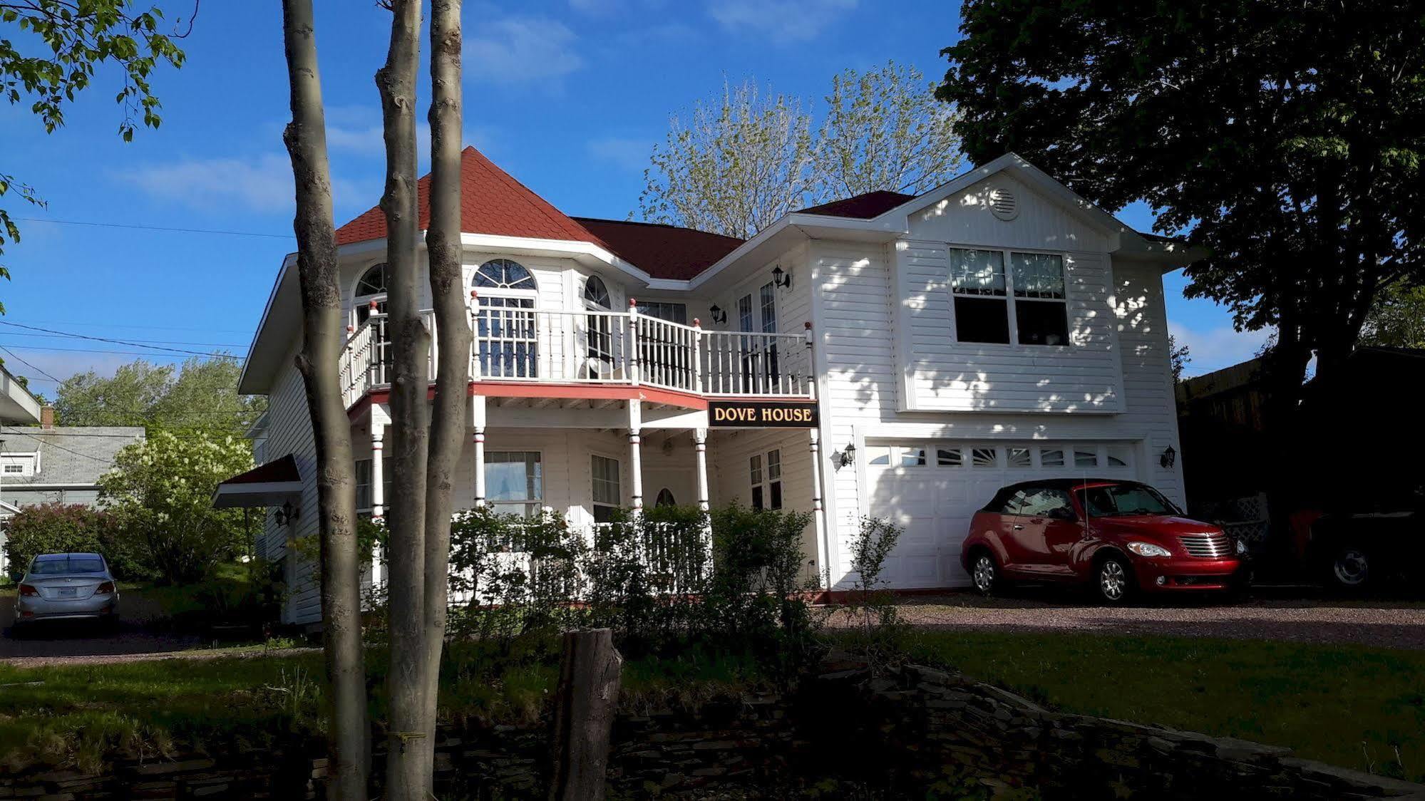Dove House Bed & Breakfast Harbourside North Sydney Luaran gambar