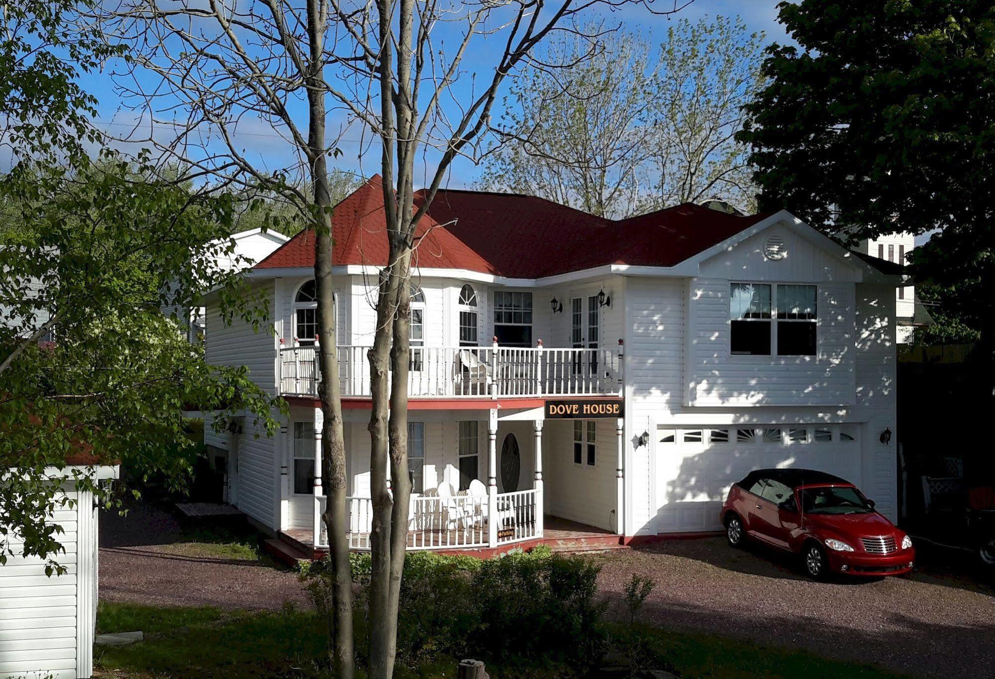 Dove House Bed & Breakfast Harbourside North Sydney Luaran gambar