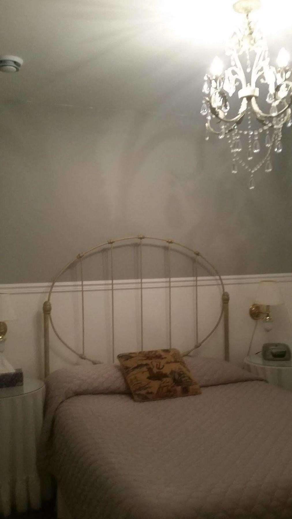 Dove House Bed & Breakfast Harbourside North Sydney Luaran gambar